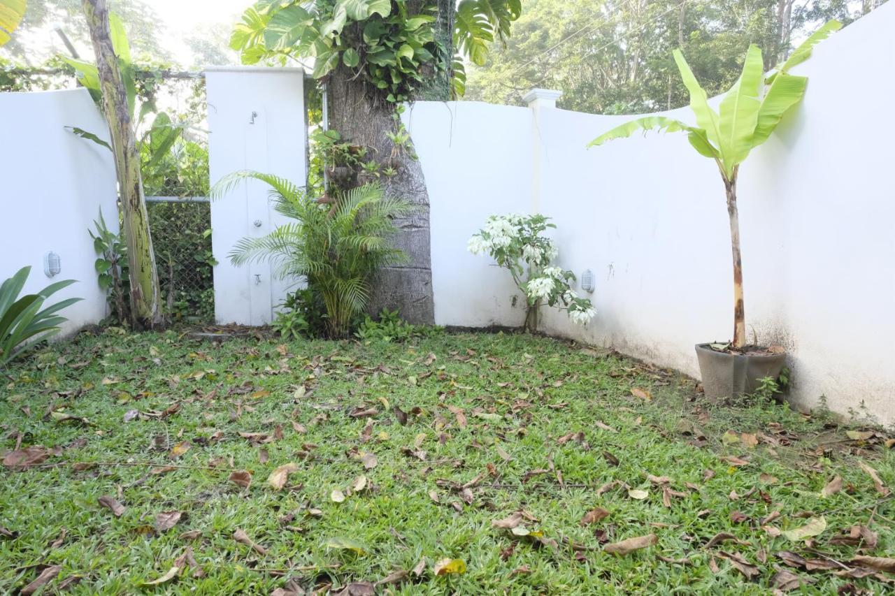 Puerto Viejo de Talamanca Casa Modiヴィラ エクステリア 写真